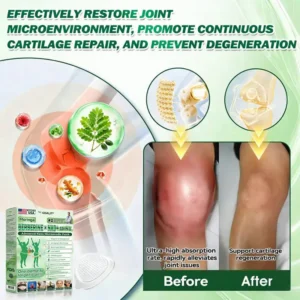 ODEIUN™ Moringa · Berberine × NAD+ 10-in-1 Advanced Nano Microneedle Patch