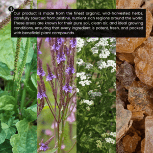 Risevitals Alpha Hormone Drops 5 Risevitals Alpha Hormone Drops