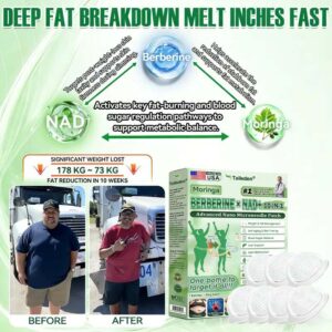 Taileden® Moringa · Berberine × NAD+ 10-in-1 Advanced Nano Microneedle Patch