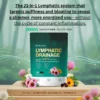 Witawell 21-in-1 Lymphatic Drainage Complex