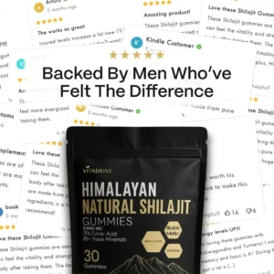 VITACORE Kidney Support Shilajit Gummies