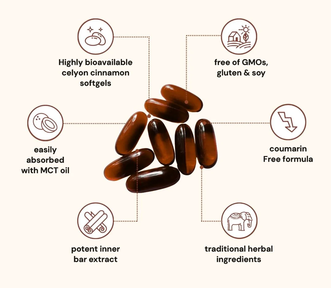 Primal Remedies Ceylon Cinnamon 7200mg equivalent with MCT Oil