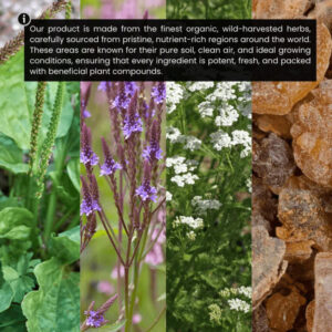 Fosters Organic Lymphatic Support Herbal Blend