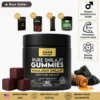 Xara Shilajit® Pure Shilajit Gummies