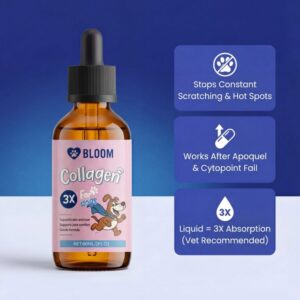 Bloom Triple Collagen