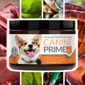 Canine Prime Advanced Nutritional Formula
