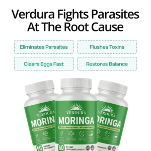 Verdura Moringa