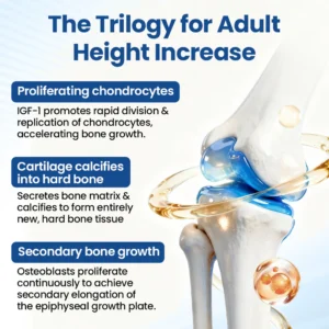 TAILEDEN® GH-Support Height Spray