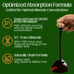 Nexora 10-in-1 Alpha Shilajit Gummies