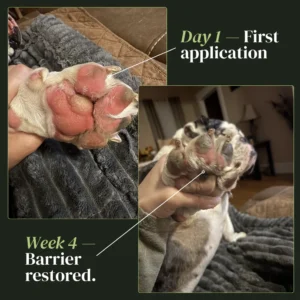 BalanceVie Pet Anti - itch Spray