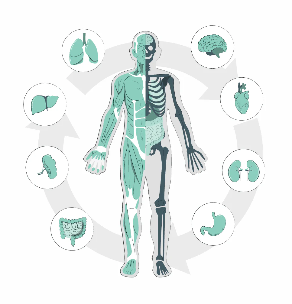 SPNutrition Vitamin D3 & K2 Gummies