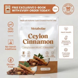 Metabolae Ceylon Cinnamon 7200mg Equivalent with MCT Oil