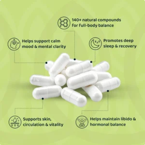 Holior Rhodiola Rosea – Natural Cortisol Balance Reset