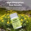 Holior Rhodiola Rosea – Natural Cortisol Balance Reset