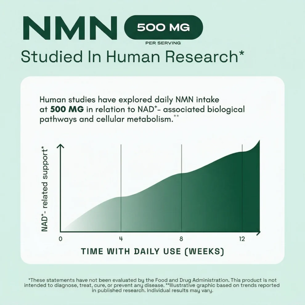 Purify NMN NAD+ Support