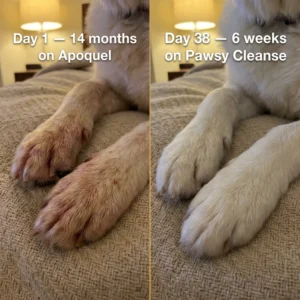 Pawsy™ Parasite Cleanse Drops