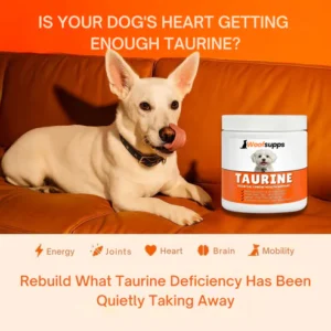 Woofsupps Taurine Pure Supplement
