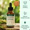 Climb Lymphatic Drainage Herbal Drops