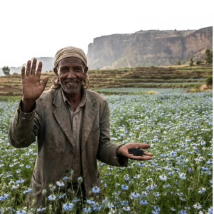 Wimast® Ethiopian Black Seed Oil